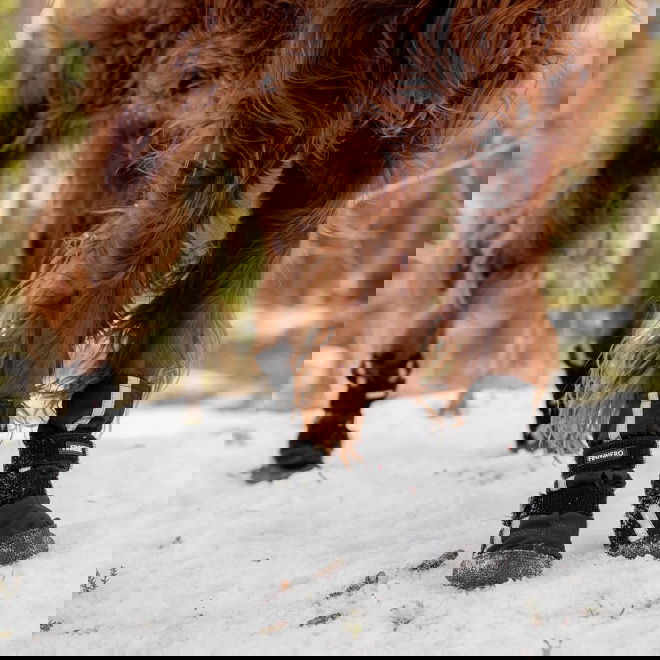 Finnero HALLA Softshell-tossut 4kpl, musta (L)