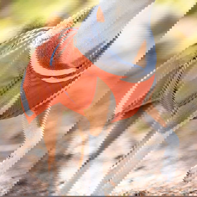 KevytPomppa Rust