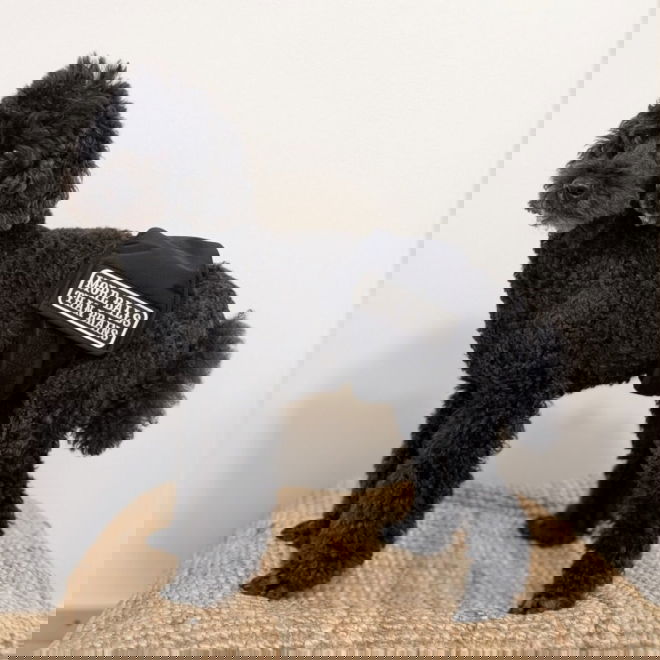 RuttuNuttu urosvyö, Balls