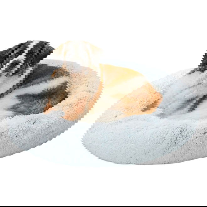 Koiran p&ouml;rr&ouml;peti Best Friends by Sheri,huurre (XL)