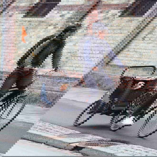 Thule Courier -koirankuljetusk&auml;rry