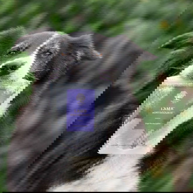 ESSENTIAL Lamb Mini Delights 100g