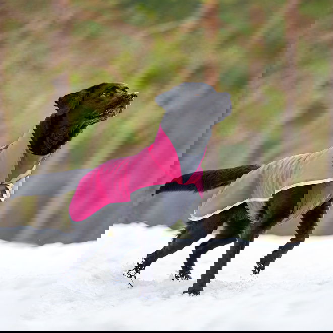 SporttiPomppa, pinkki