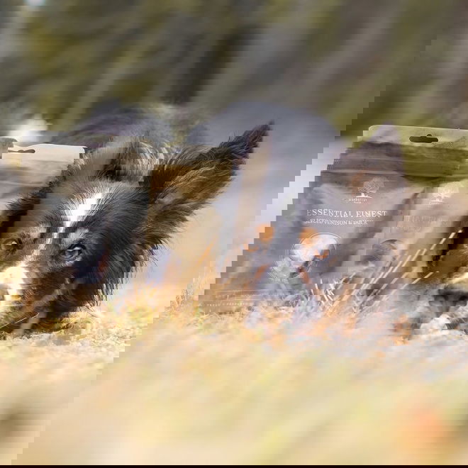 ESSENTIAL Venison&Duck Sausages 110g