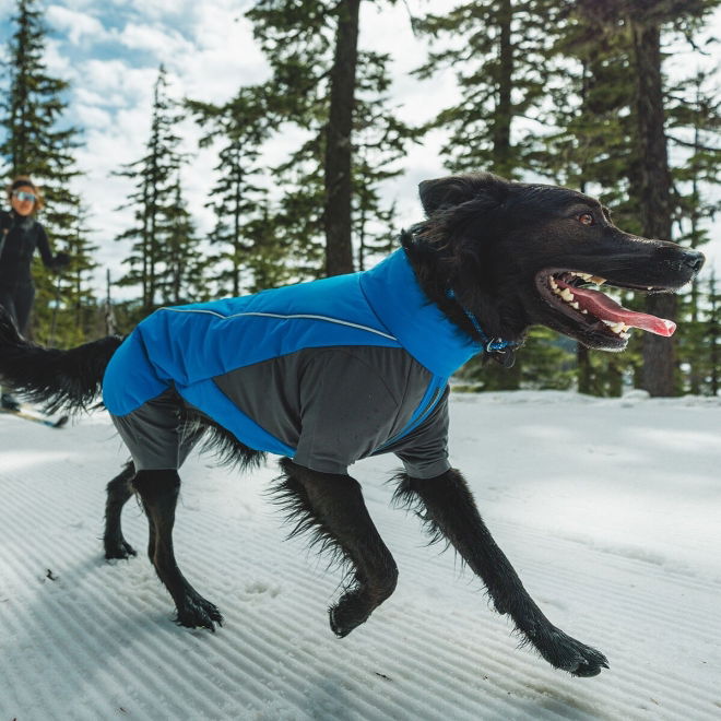 Ruffwear Vert koiran talvihaalari, sininen