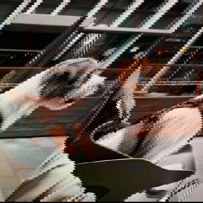 Kvisp py&ouml;r&auml;kori matkavaljailla