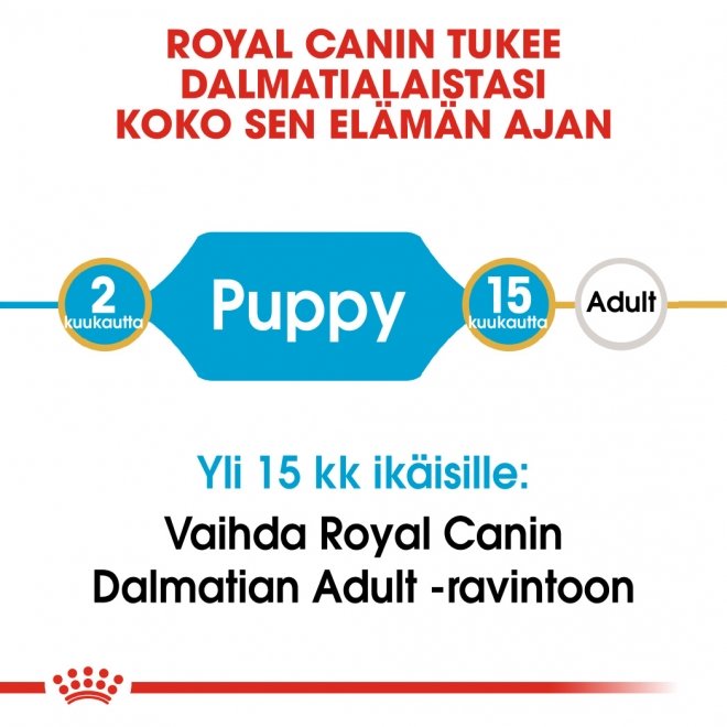 Royal Canin Breed Dalmatian Puppy