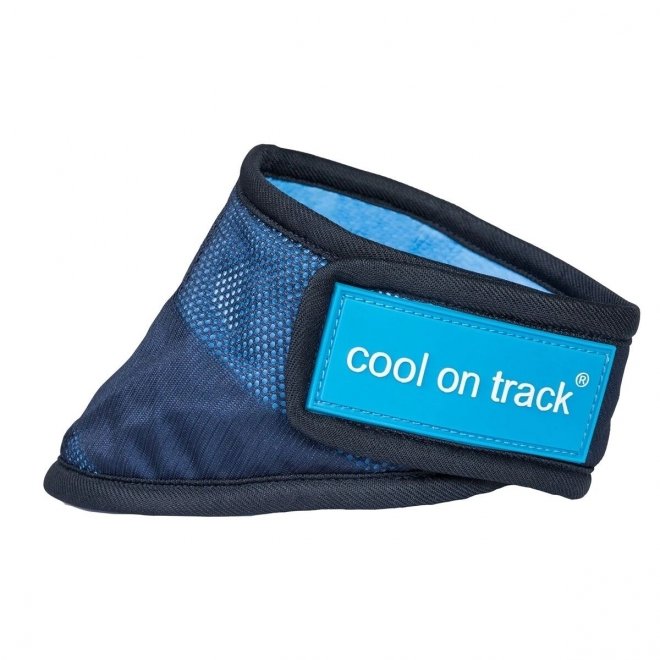 Cool on Track koiran viilennyshuivi