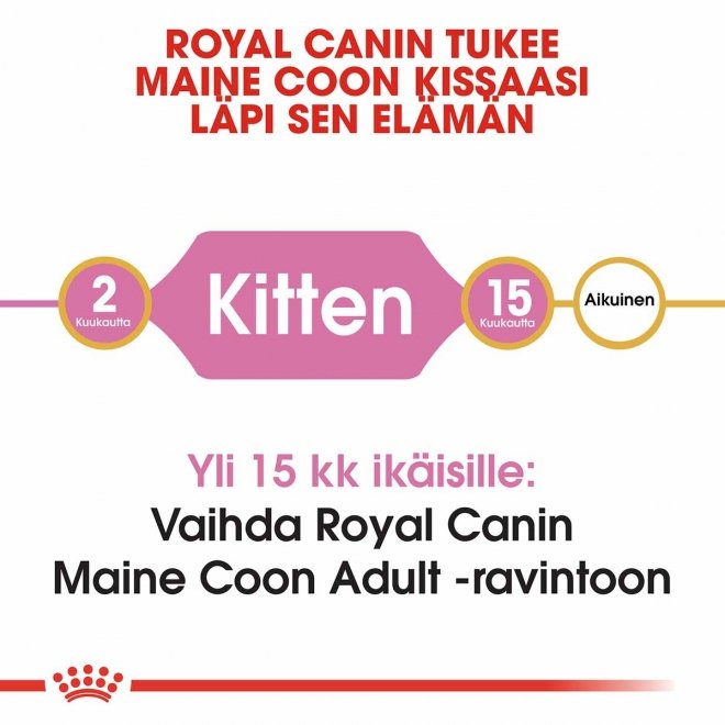 Royal Canin Maine Coon Kitten