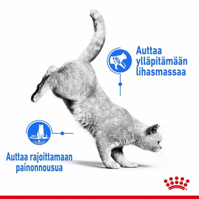 Royal Canin Cat Light Weight Care Jelly, 12 x 85 g