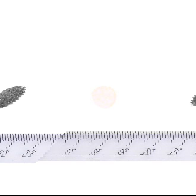 Brit Care Sustainable Puppy (12 kg)