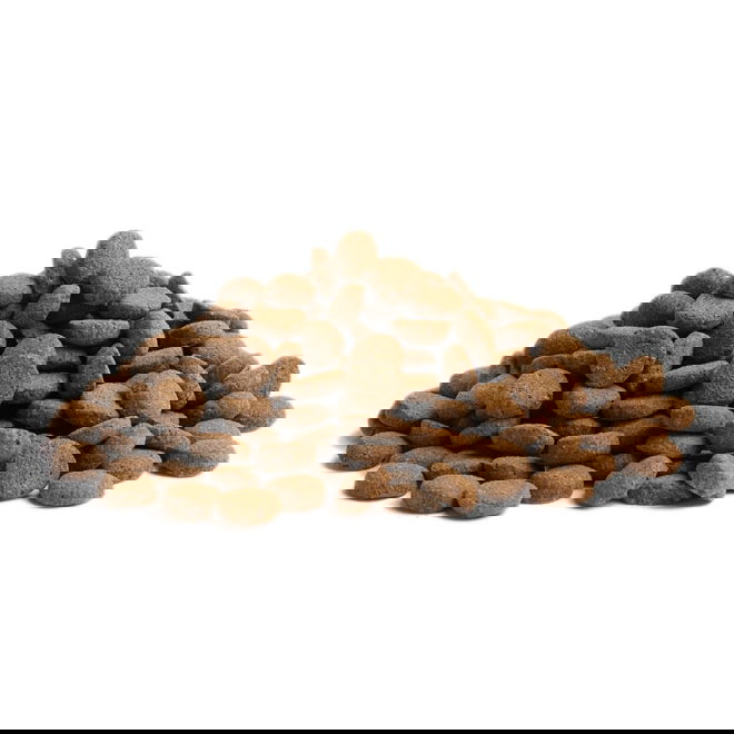 ESSENTIAL CONTOUR 10kg