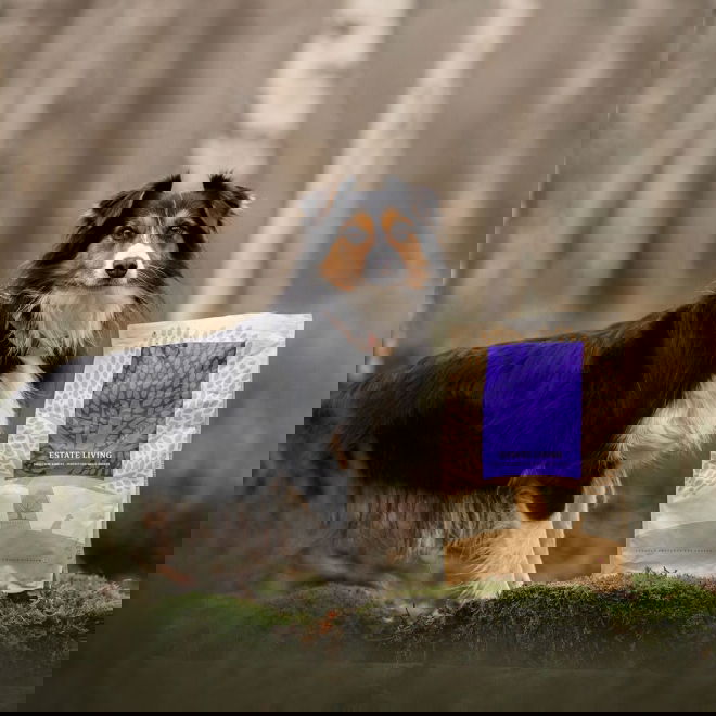 ESSENTIAL ESTATE LIVING SMALL BREED 2,5kg