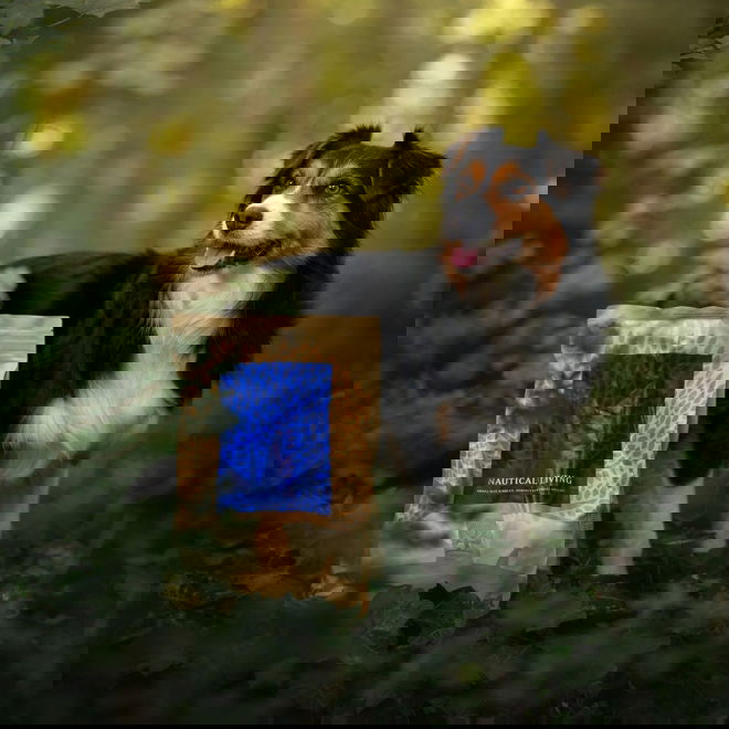 ESSENTIAL NAUTICAL LIVING SMALL BREED 2,5kg