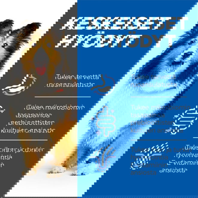 Hills Science Plan Dog Sensitive Stomach & Skin Chicken & Vegetables 370g