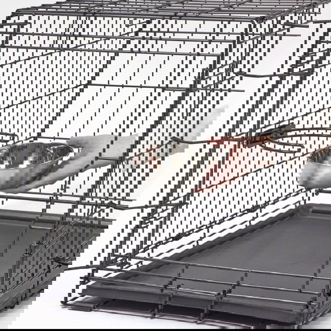 H&auml;kkikuppi Midwest Snapy Fit (600 ml)