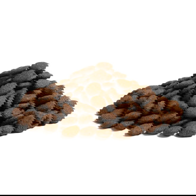 ESSENTIAL the BEGINNING Large Breed 10 kg