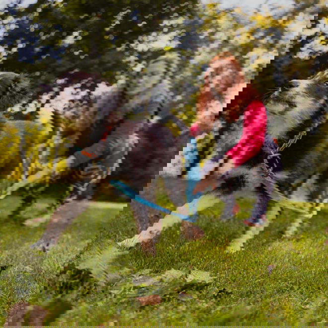 Loype Saxana Tracking Line