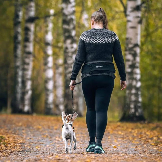 Non-Stop Dogwear Rush -talutusvyö