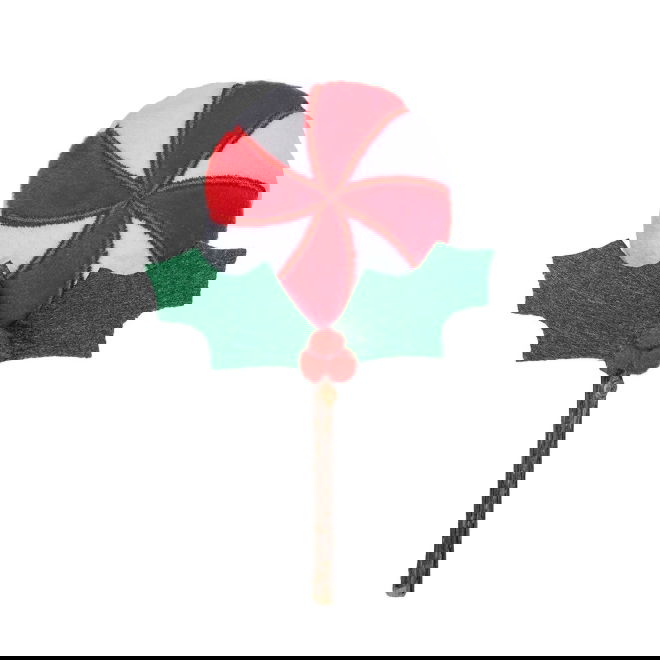 Beeztees Matatabi Lollipop