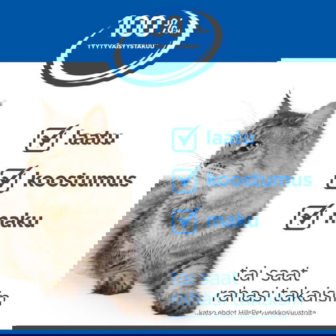 Hills Prescription Diet Kitten i/d