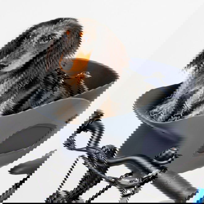 Kvisp py&ouml;r&auml;kori matkavaljailla