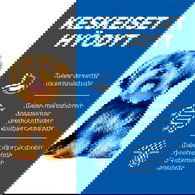 Hills Science Plan Dog Sensitive Stomach & Skin Mousse Small & Mini Turkey 200g