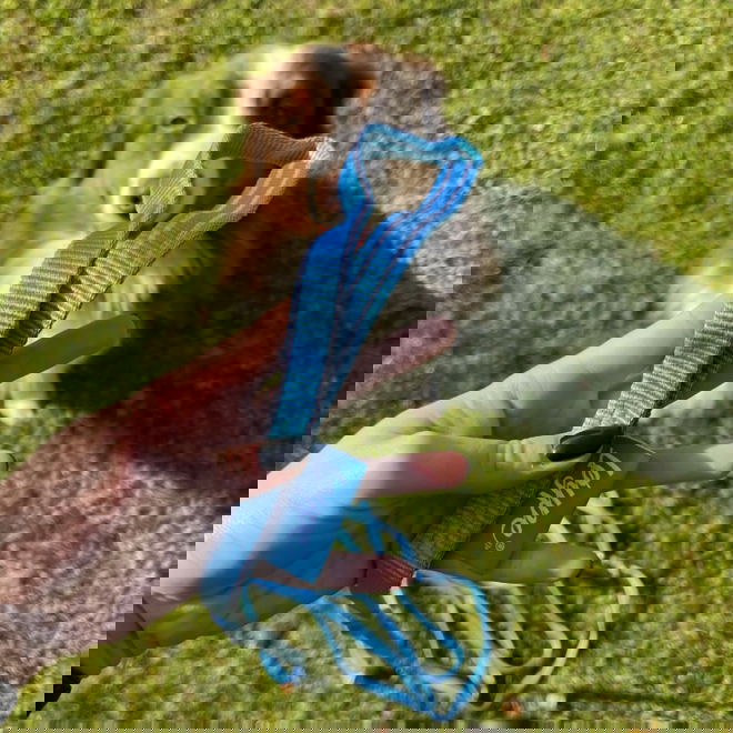 Loype Saxana Tracking Line