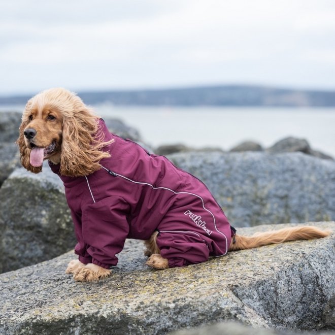 Rukka Thermal koiran talvihaalari, viininpunainen