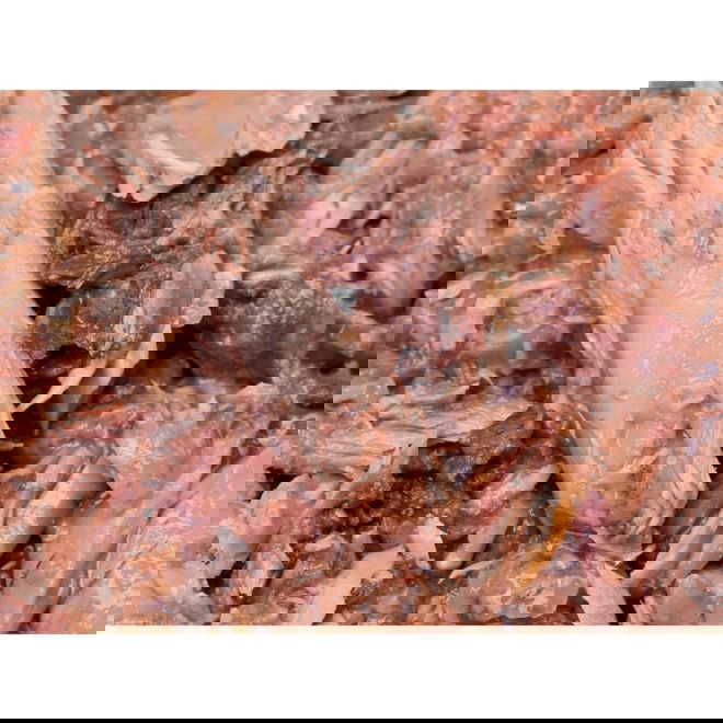 Feline Porta 21 Tonnikala & Kilohaili