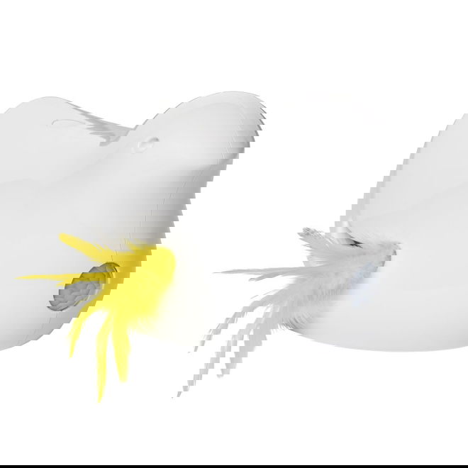 PetSafe&reg; Peek-a-Bird&trade; kissanlelu