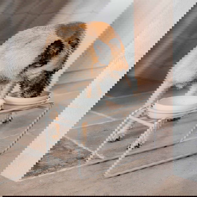 Kuppiteline District 70 Butler (M)