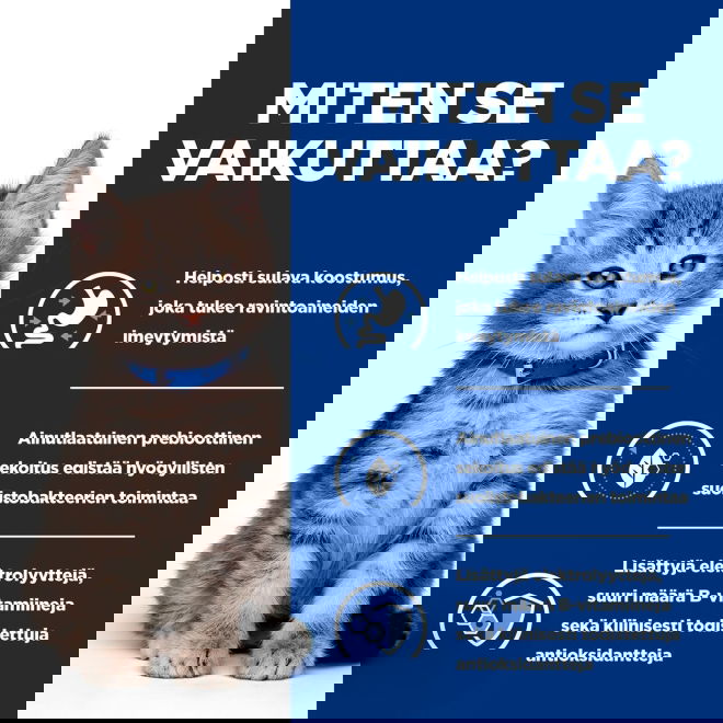 Hills Prescription Diet Kitten i/d