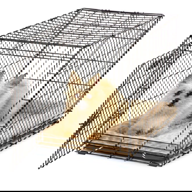 Peti Midwest QuietTime Wave, ruskea (60 x 45 cm)