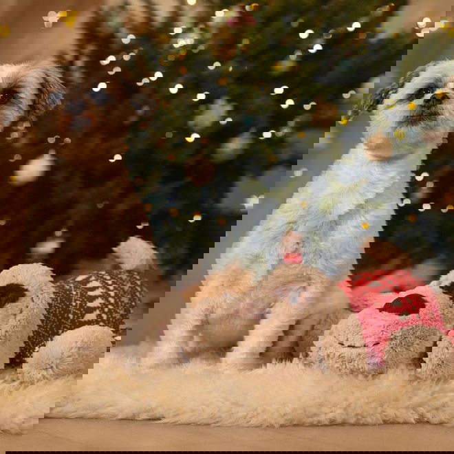 Beeztees Cuddle Dog Comet XL