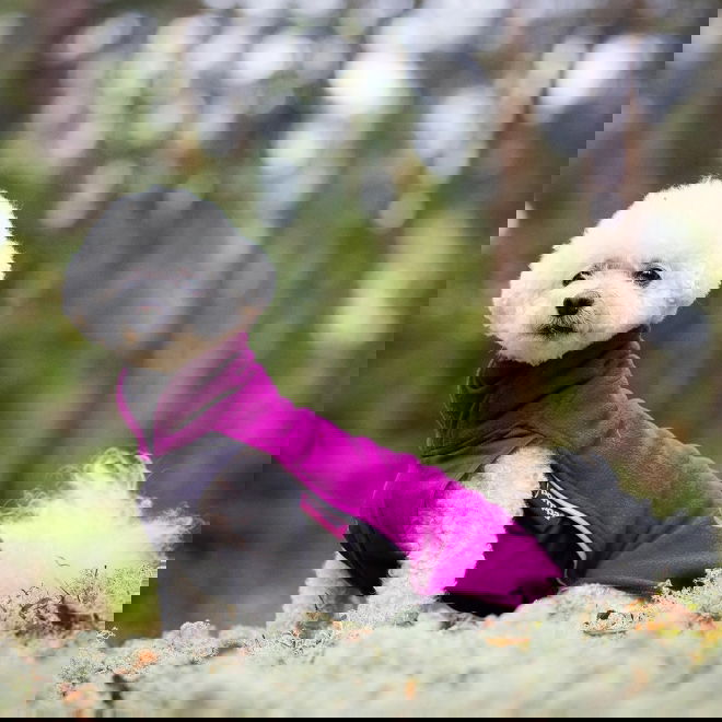 JumppaPomppa paita, luumu