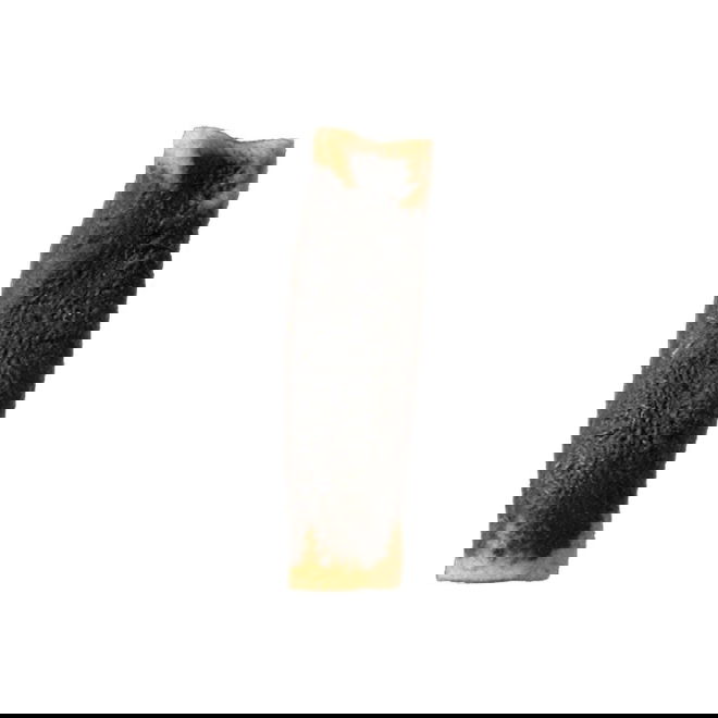 Monster Rawhide Beef Hairy (M)