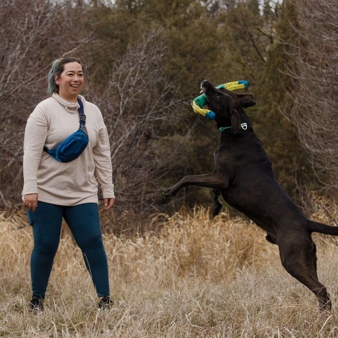 Ruffwear Pacific Loop -koiranlelu, turkoosi