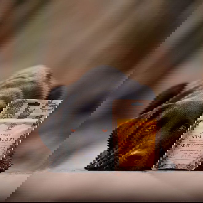 ESSENTIAL Farm&Fields Crackers 100g