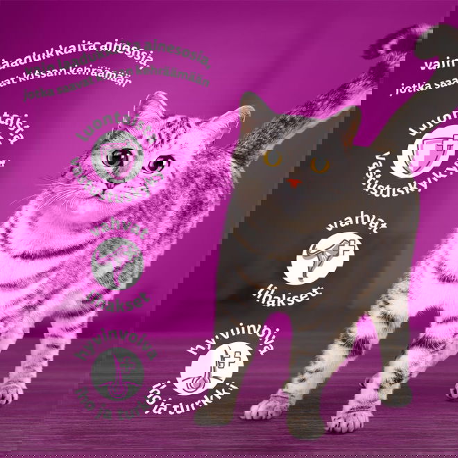 Whiskas Classic meals in jelly 60x85g