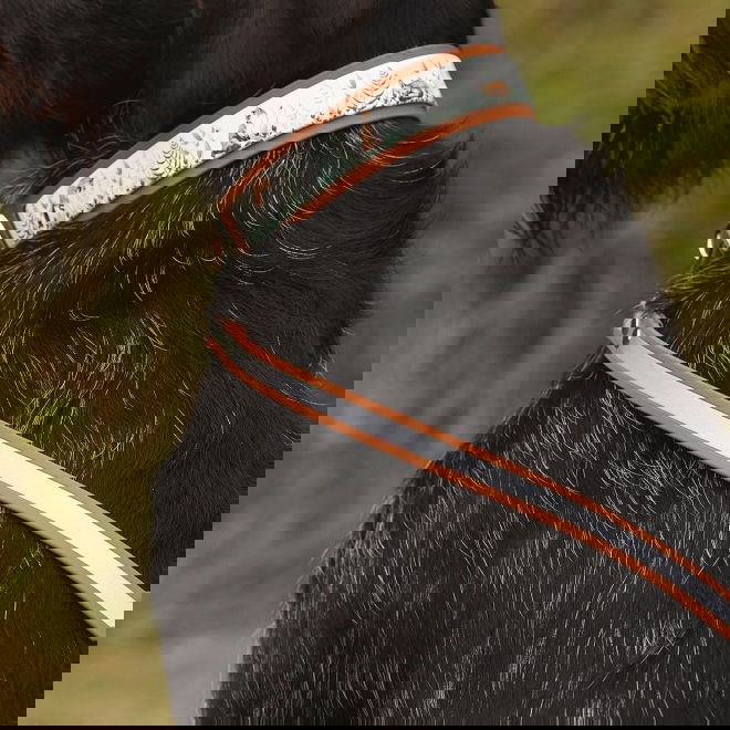 Tyylivoitto Shine Eazy heijastinhihna, konjakki (19mm x 200cm)