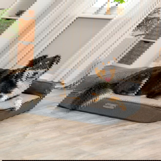 Koiran sohva Trixie Vital Bendson