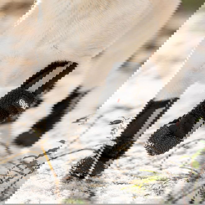 Finnero HALLA Softshell-tossut 4kpl, musta (XS)