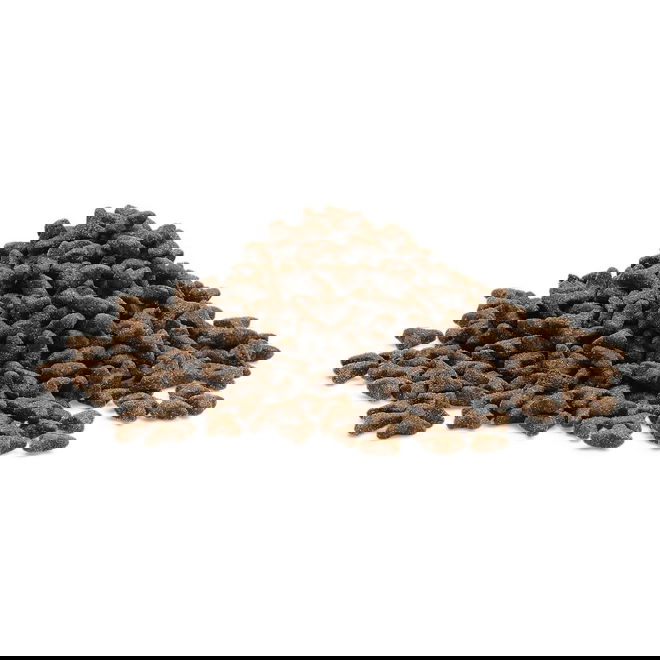 ESSENTIAL The LITTLE LION (1,5 kg)