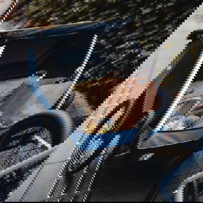 Thule Courier -koirankuljetusk&auml;rry