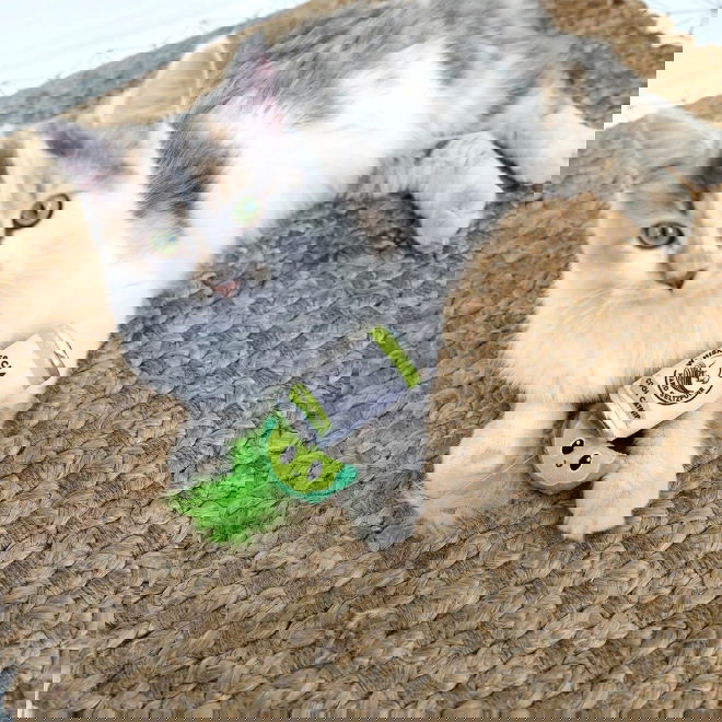 Quirky Kitty Hard Seltzpurr