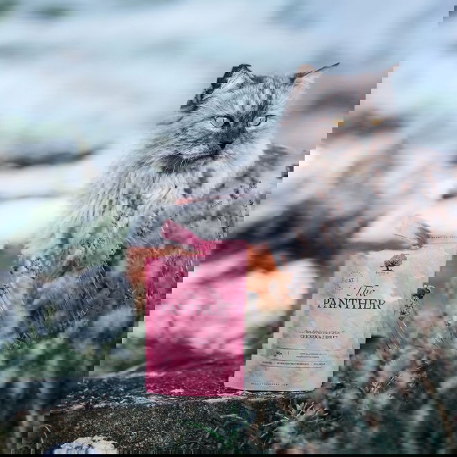 ESSENTIAL the PANTHER PATÉ 12x85g