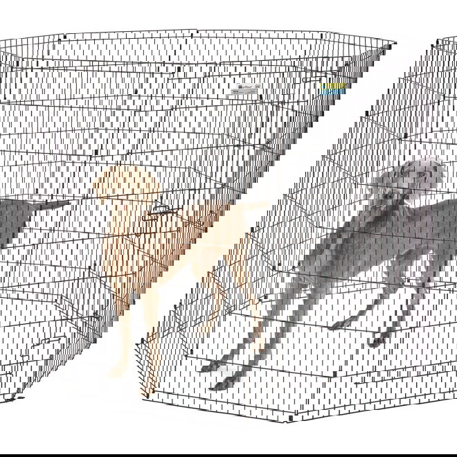 Pentuaitaus Midwest Contour (61x122cm)