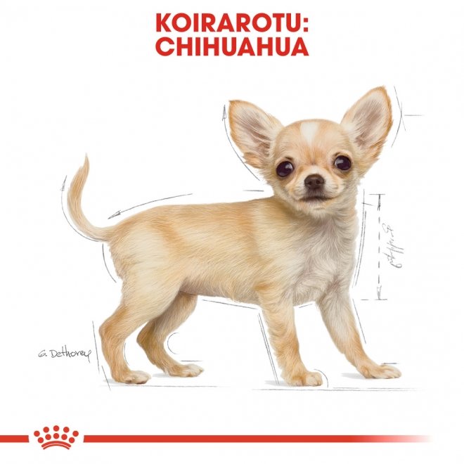 Royal Canin Breed Chihuahua Puppy