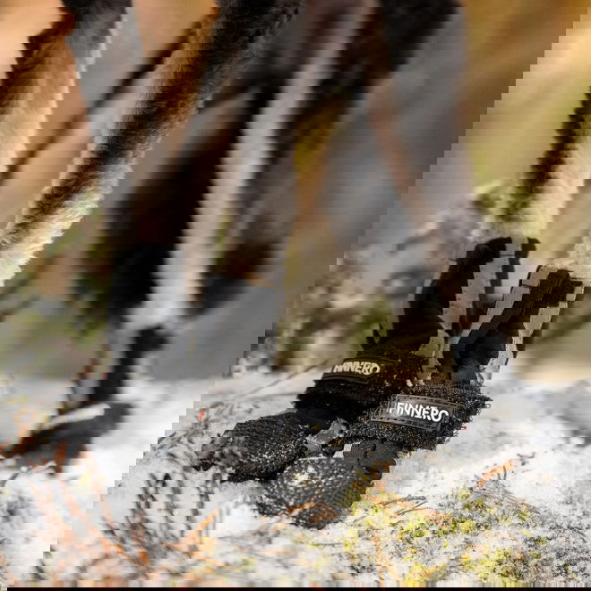 Finnero HALLA Softshell-tossut 4kpl, musta (XS)